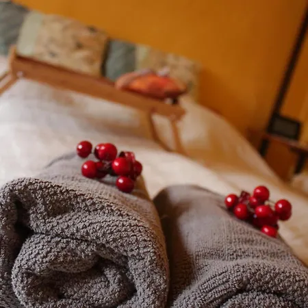 Na Zlatom Dvore, Historicky Dvor V Srdci Stiavnice Apartmán *